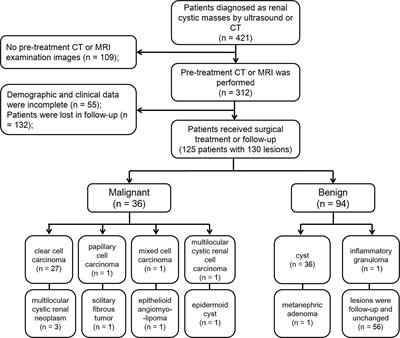 Bosniak classification of cystic renal masses, version 2019: Is it helpful to incorporate the diffusion weighted imaging characteristic of lesions into the guideline?